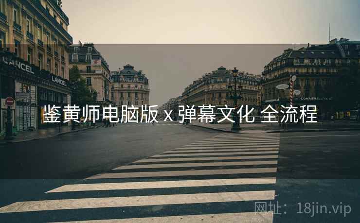 鉴黄师电脑版 x 弹幕文化 全流程