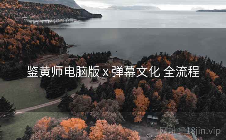 鉴黄师电脑版 x 弹幕文化 全流程  第2张