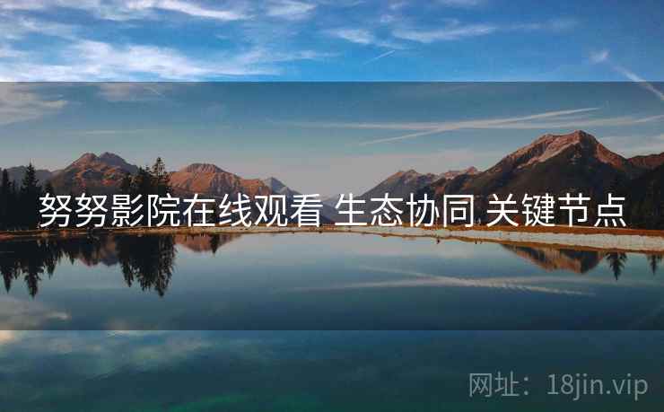 努努影院在线观看 生态协同 关键节点