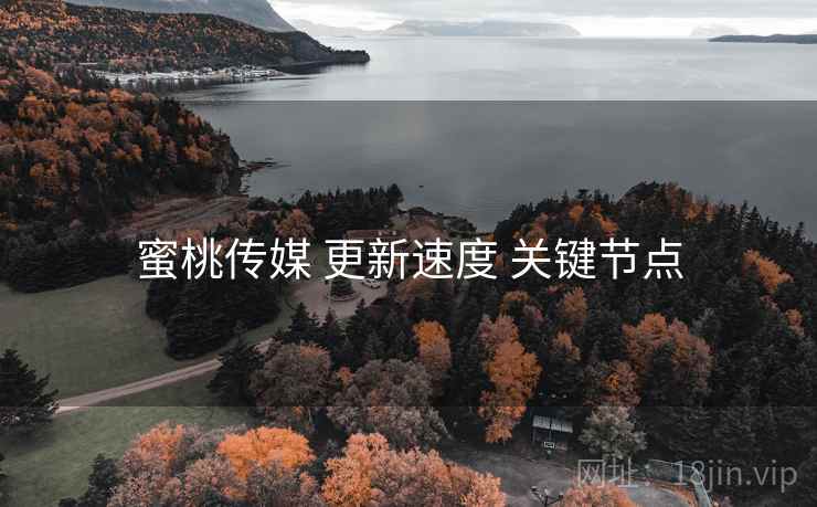 蜜桃传媒 更新速度 关键节点