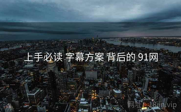 上手必读 字幕方案 背后的 91网