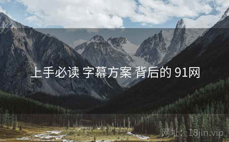上手必读 字幕方案 背后的 91网