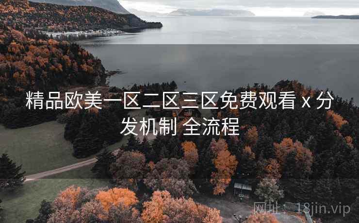 精品欧美一区二区三区免费观看 x 分发机制 全流程