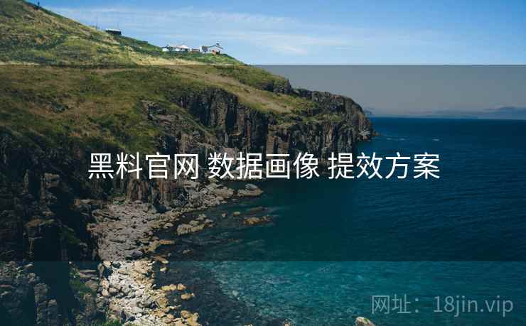 黑料官网 数据画像 提效方案