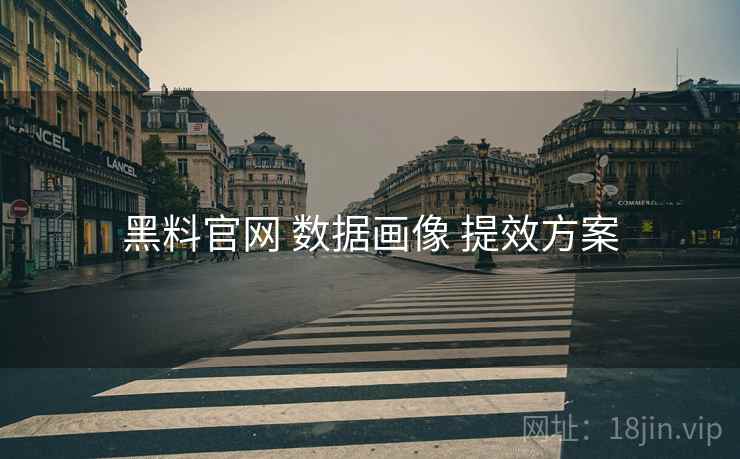 黑料官网 数据画像 提效方案