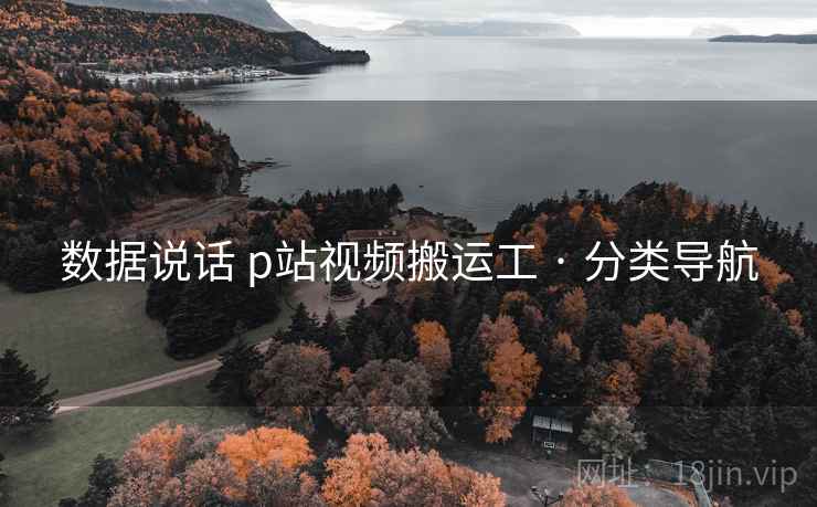 数据说话 p站视频搬运工 · 分类导航