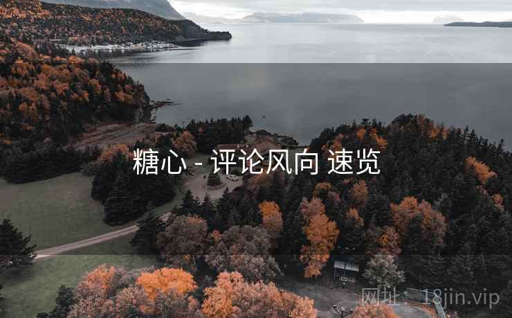 糖心 - 评论风向 速览
