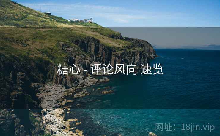 糖心 - 评论风向 速览