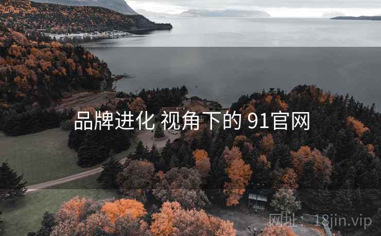 品牌进化 视角下的 91官网