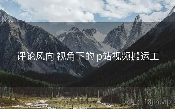评论风向 视角下的 p站视频搬运工