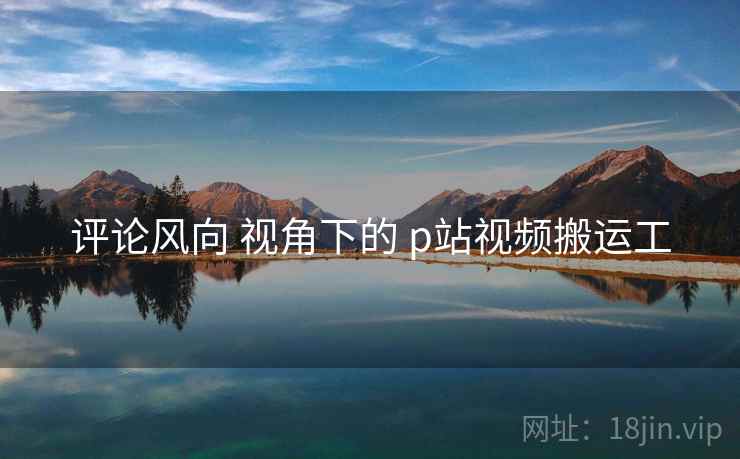 评论风向 视角下的 p站视频搬运工