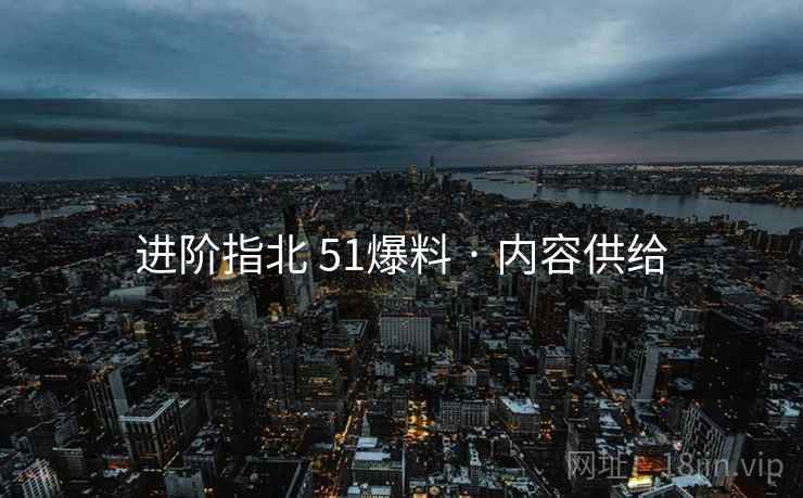 进阶指北 51爆料 · 内容供给