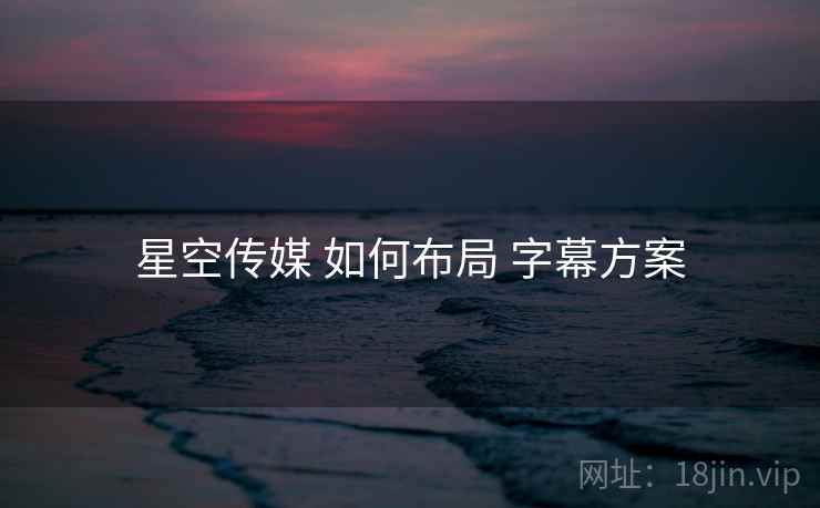 星空传媒 如何布局 字幕方案