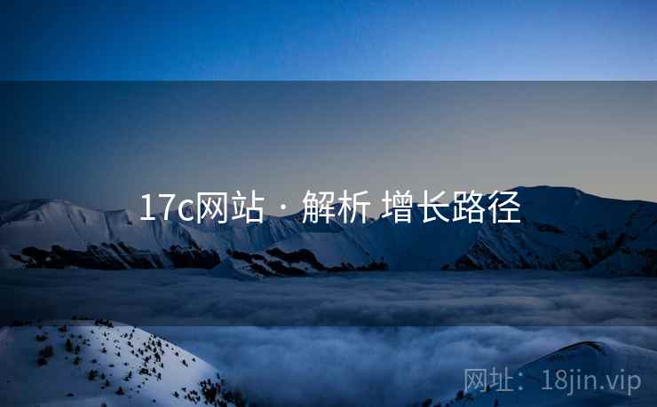 17c网站 · 解析 增长路径