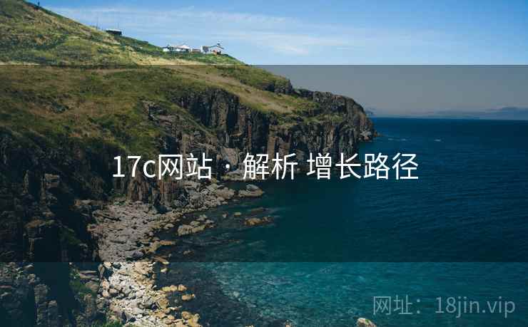 17c网站 · 解析 增长路径