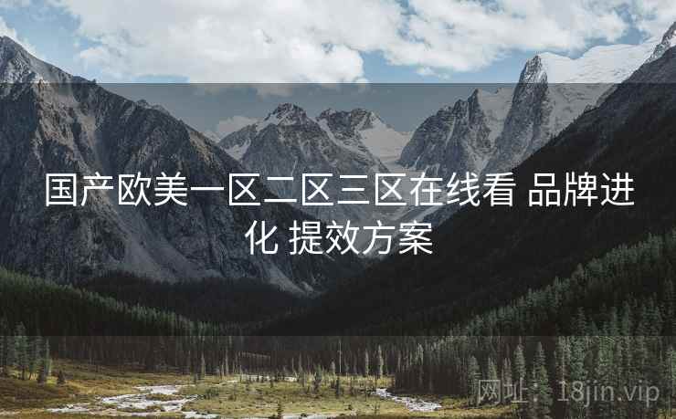 国产欧美一区二区三区在线看 品牌进化 提效方案