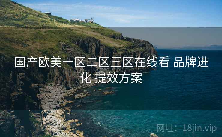 国产欧美一区二区三区在线看 品牌进化 提效方案