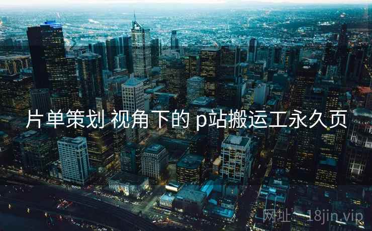 片单策划 视角下的 p站搬运工永久页