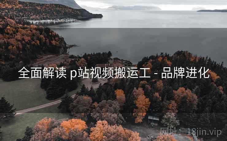 全面解读 p站视频搬运工 - 品牌进化