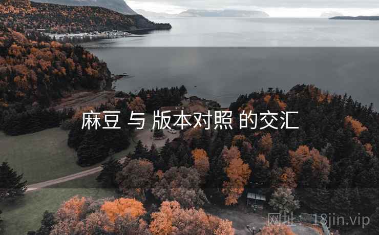 麻豆 与 版本对照 的交汇
