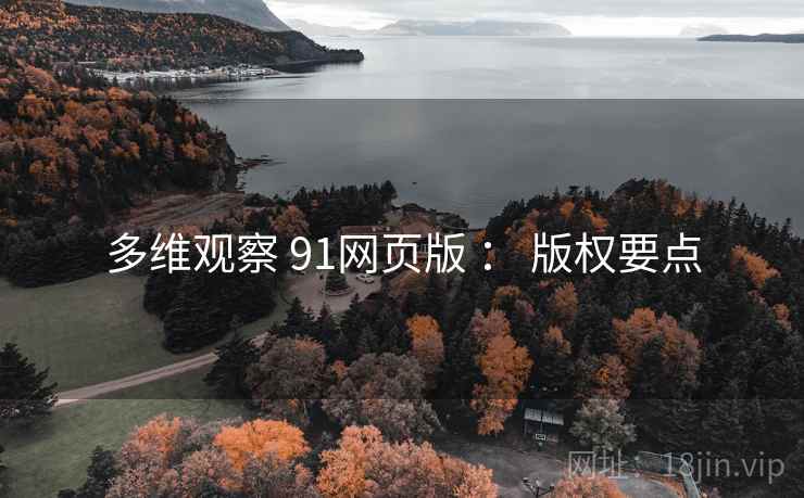 多维观察 91网页版 ： 版权要点